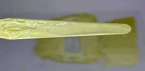 ترکیب رنگ لیمویی